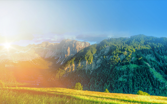 北京金奧利維科技發展有限公司